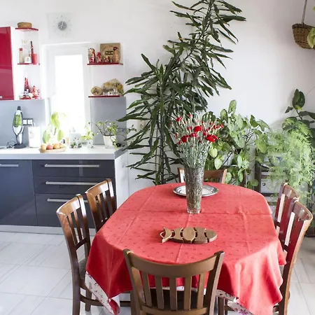 Appartement Ivica Duće